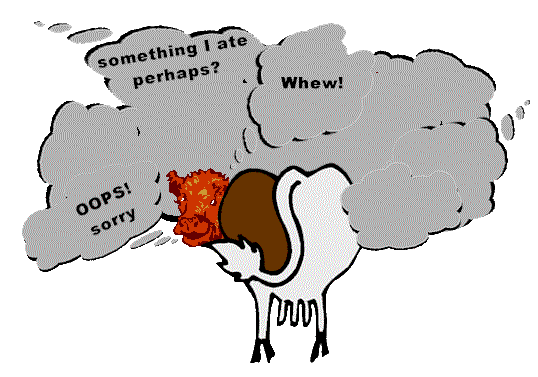 Oops! sorry...something I ate perhaps? Whew!